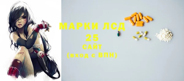 стафф Алексин