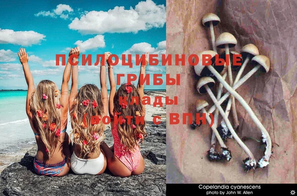 гашик Алзамай
