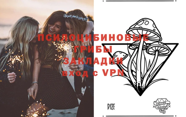 соль курить ск Алексеевка