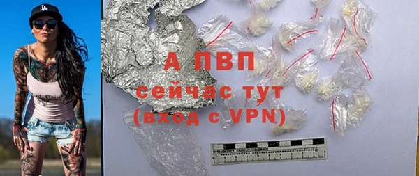 стафф Алексин