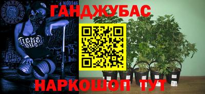 крисы Балахна