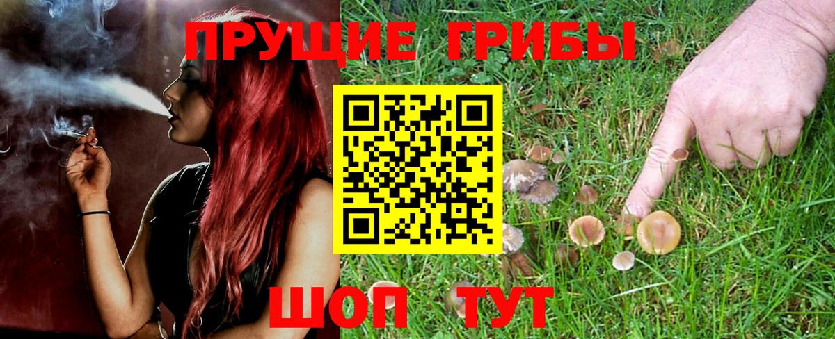 Аргун  Галлюциногенные грибы MAGIC MUSHROOMS  наркошоп  Вход с VPN 