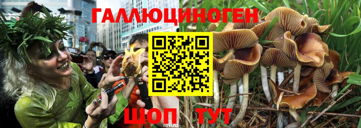 Псилоцибиновые грибы MAGIC MUSHROOMS Аргун